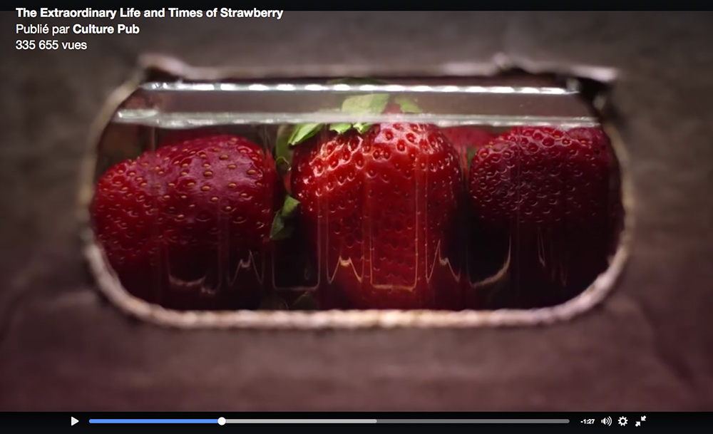 life-strawberry