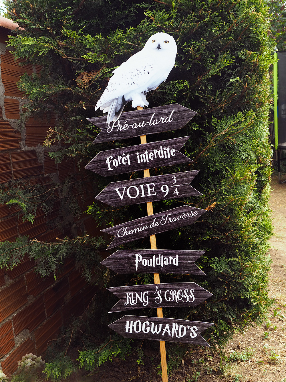 Organiser un anniversaire Harry Potter à l'extérieur - Lucky Sophie blog  famille voyage