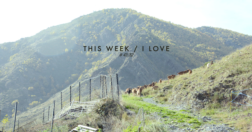 THIS WEEK / I LOVE 43/52